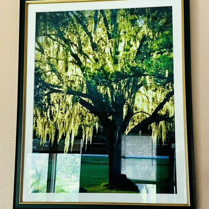 Verified review from Kathy R: This is the 5th photo (shown) I’ve had framed by levelframes.com, and I’m very impressed with the quality, and the speed of delivery every time. I’ve given family photos to our relatives as gifts, and everyone has always been gleefully surprised. I highly recommend this company for all your picture-framing needs.