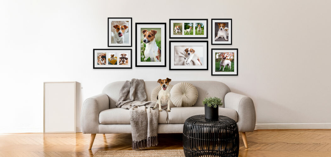 Framed gallery wall of pet photos