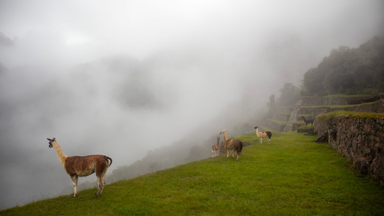 The Mystique of Machu Picchu 2 - custom framed artwork