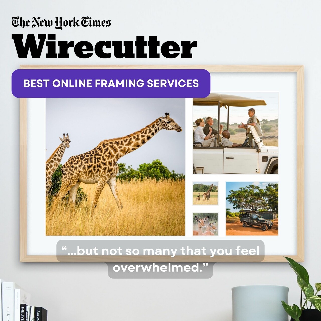 NYT Wirecutter Best Online Framing Services - Level Frames