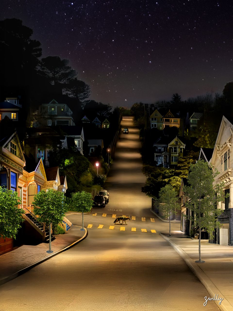 Native Son - custom framed artwork