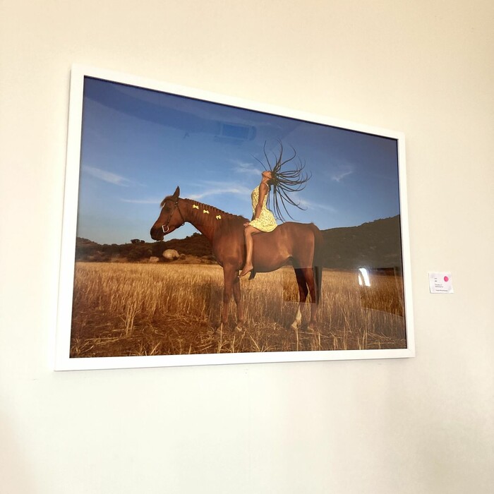 Framed photo for gallery show