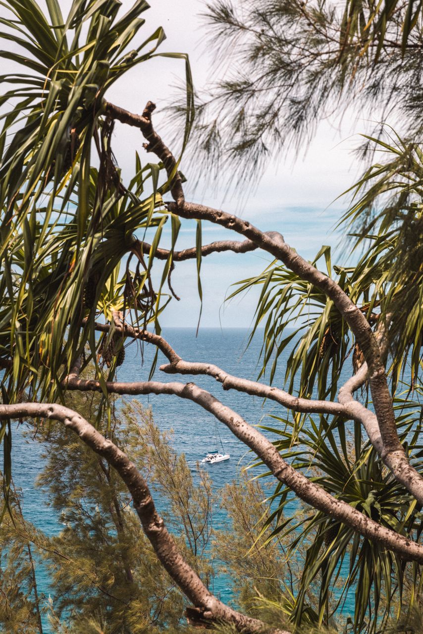 Holo Holo - custom framed artwork