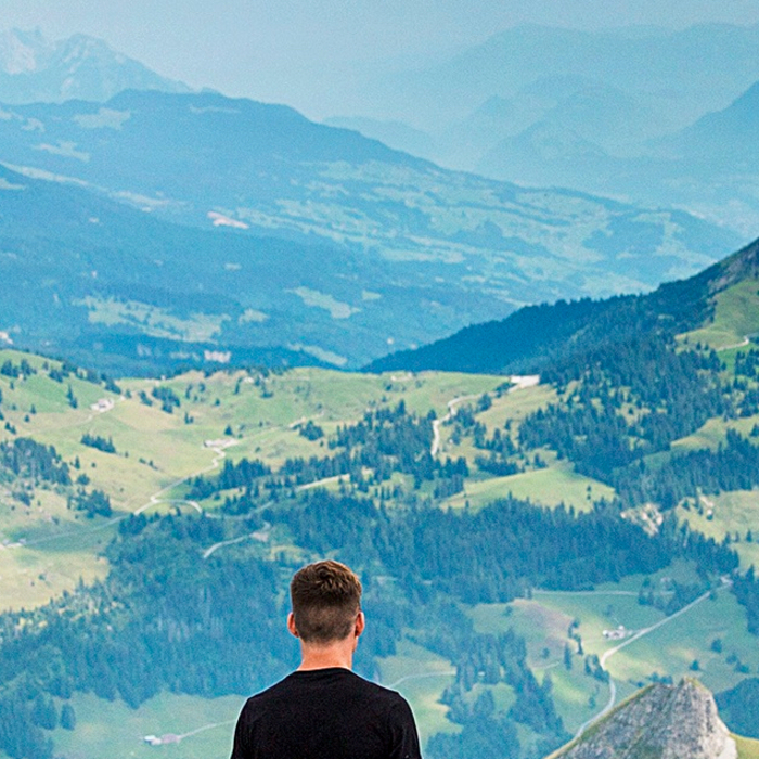 online framing tips and resources