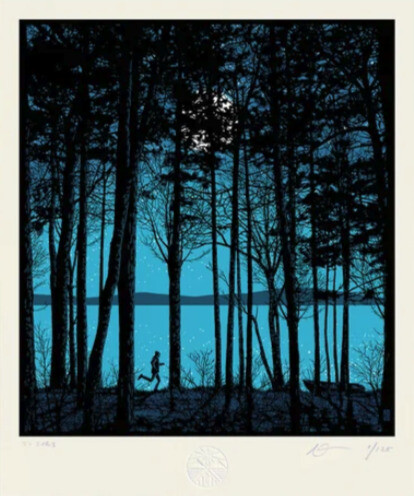 004- MY LIFE IS A EVERYDAY ADVENTURE  - custom framed artwork