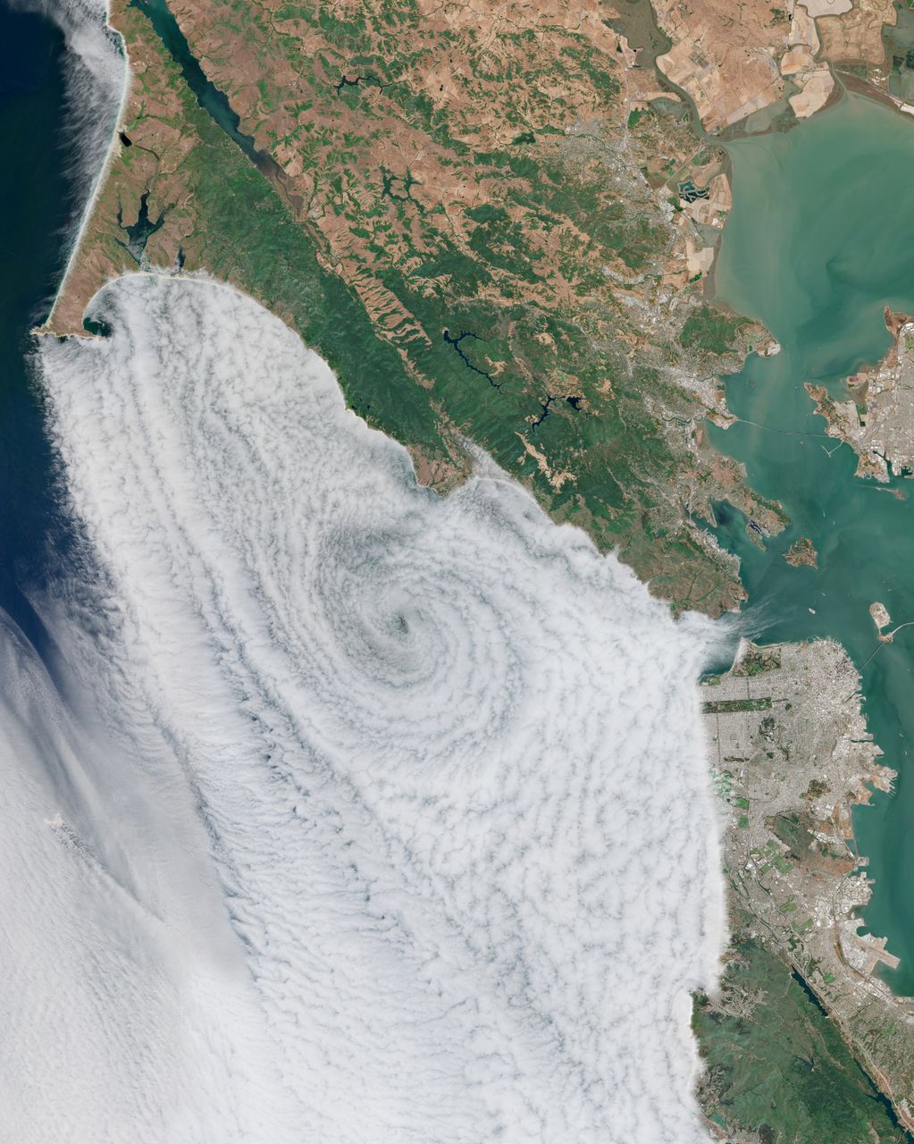 San Francisco Bay Area Fog - custom framed artwork