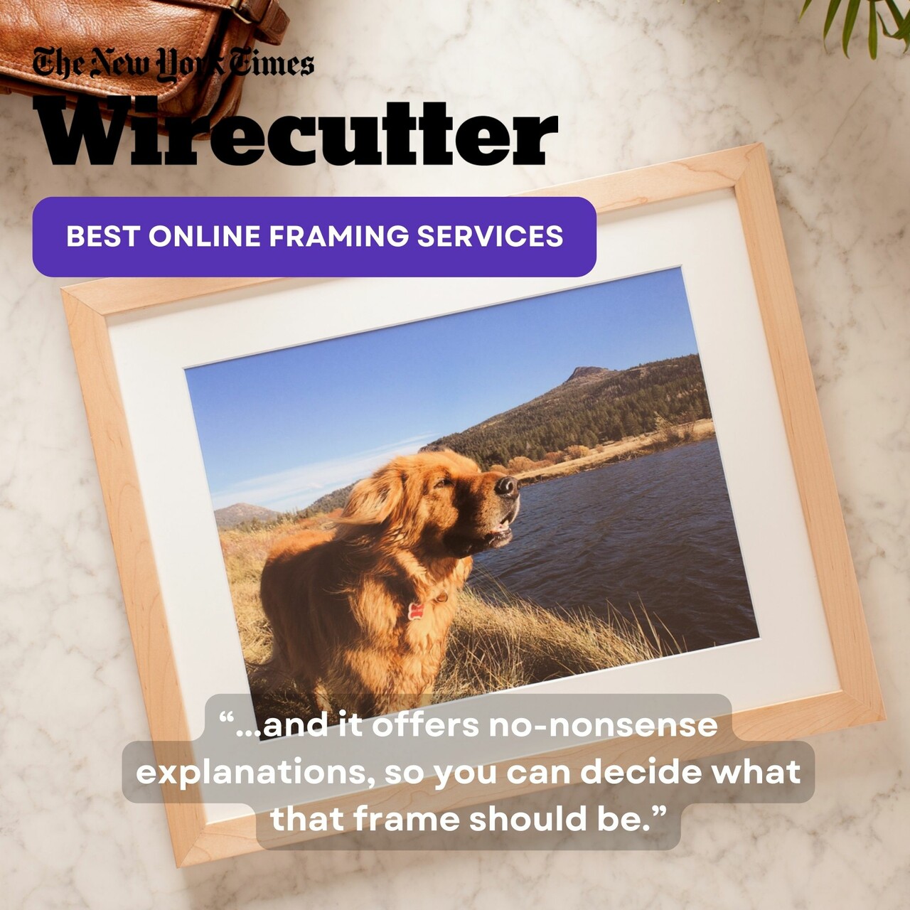 New York Times Best Online Framing Services - Level Frames