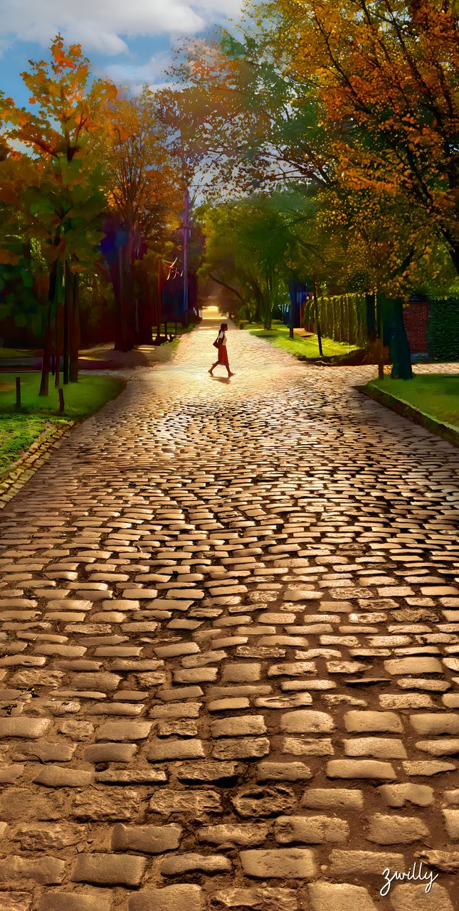 La Caminata - custom framed artwork